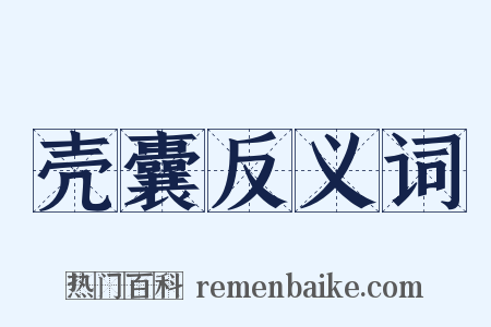 壳囊反义词是什么意思的图片